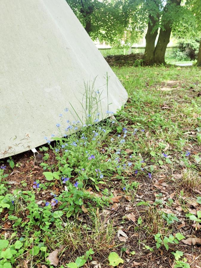 Chateau Moravany - Apartmany, Teepee A Wellness Ronow an der Doubrava Екстериор снимка