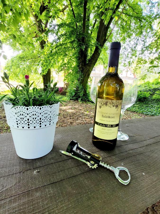 Chateau Moravany - Apartmany, Teepee A Wellness Ronow an der Doubrava Екстериор снимка